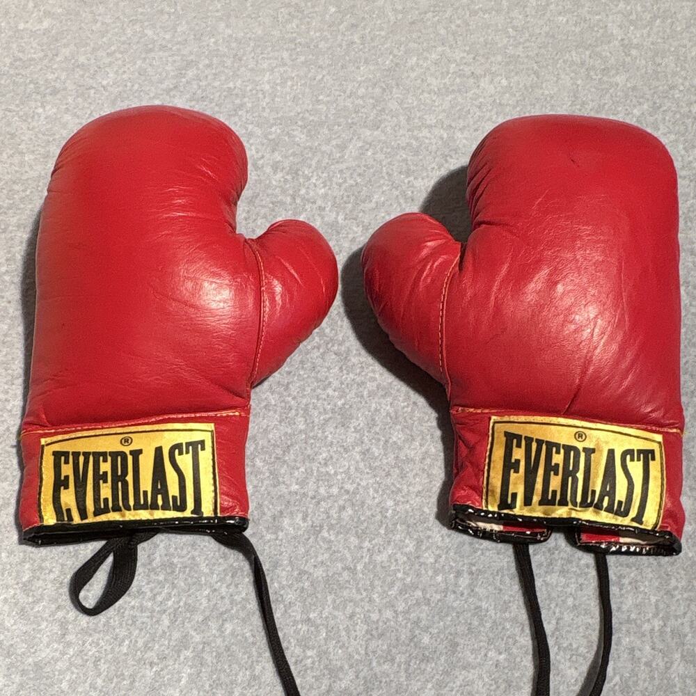 Vintage Everlast Boxing Gloves 14oz Red, With Laces